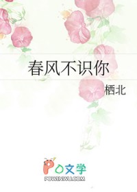 春风不识我无悔完结版